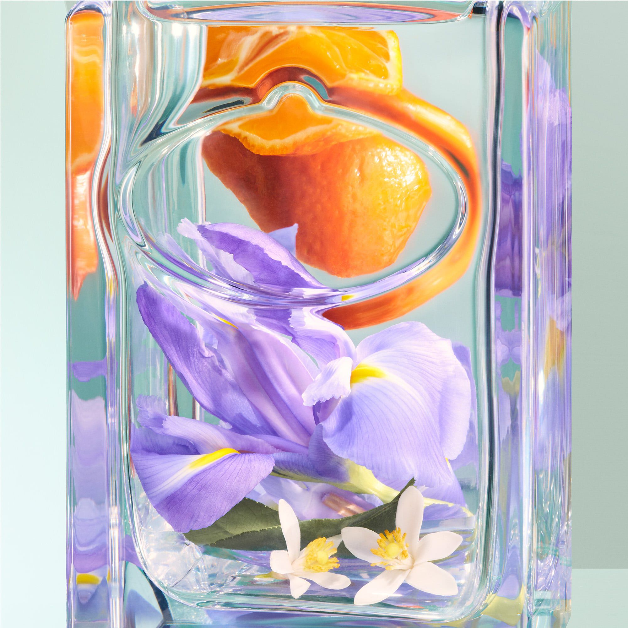 Prada les infusions iris eau de parfum store