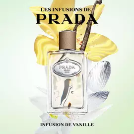 Les Infusions Discovery Set