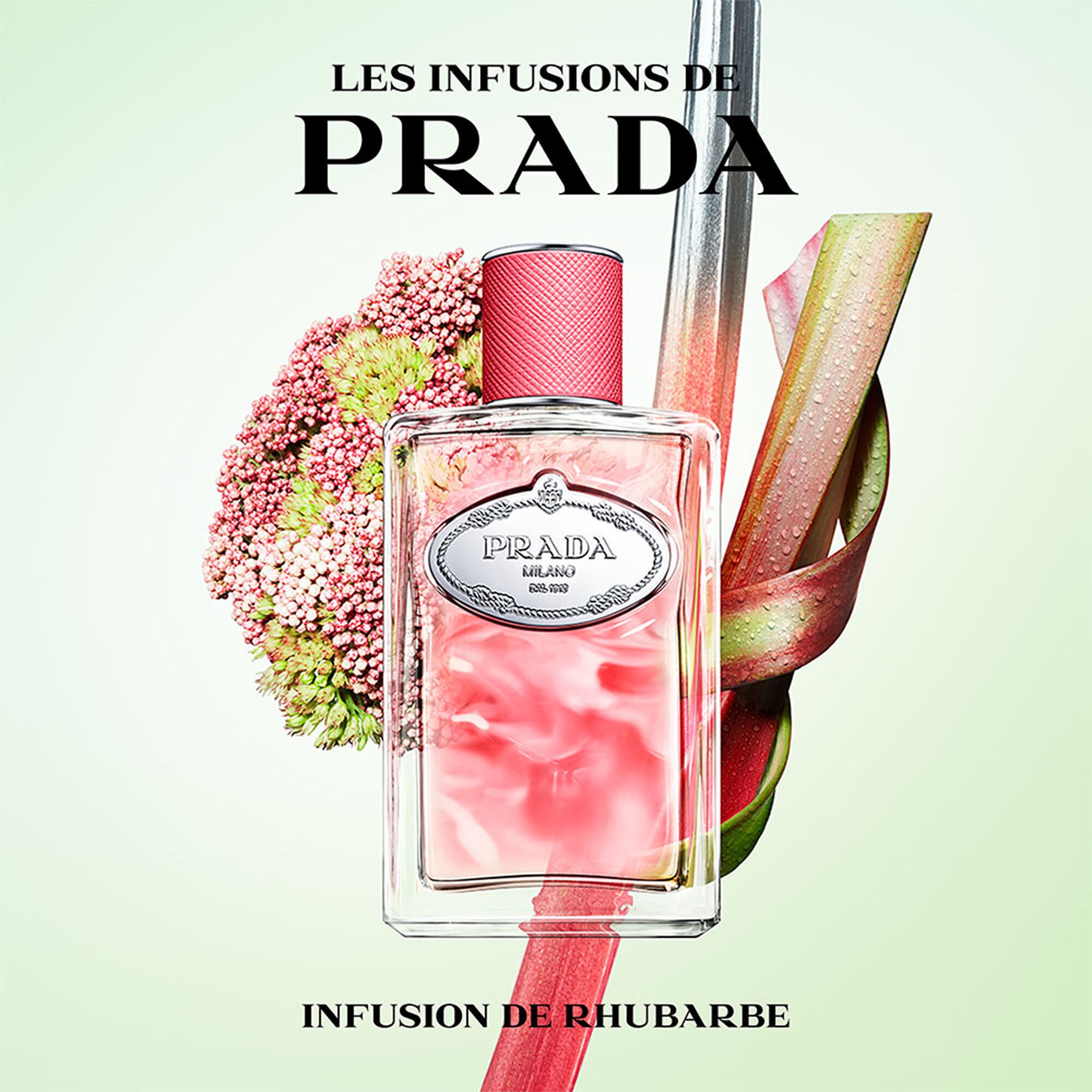 Les Infusions Discovery Set