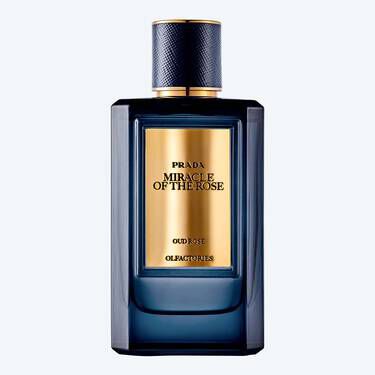 Prada oud on sale