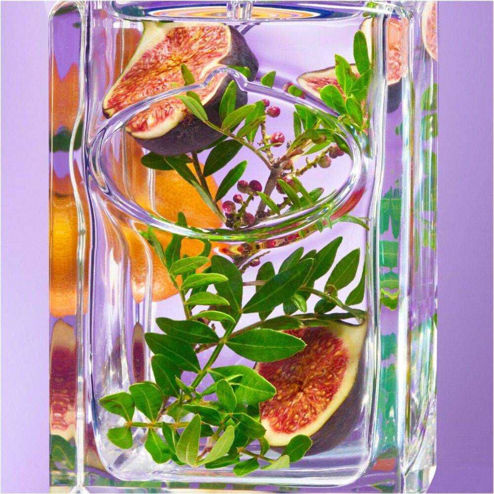 Infusions hot sale de prada