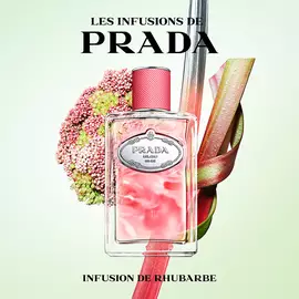 Les Infusions Gifting Set