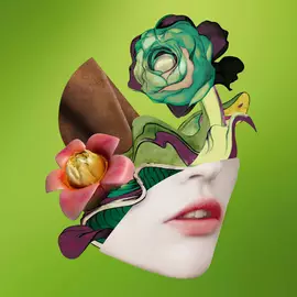 Prada Olfactories Trembled Blossoms Eau de Parfum Visual Collage on a Green background 