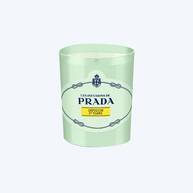 Infusion d’Ylang Candle