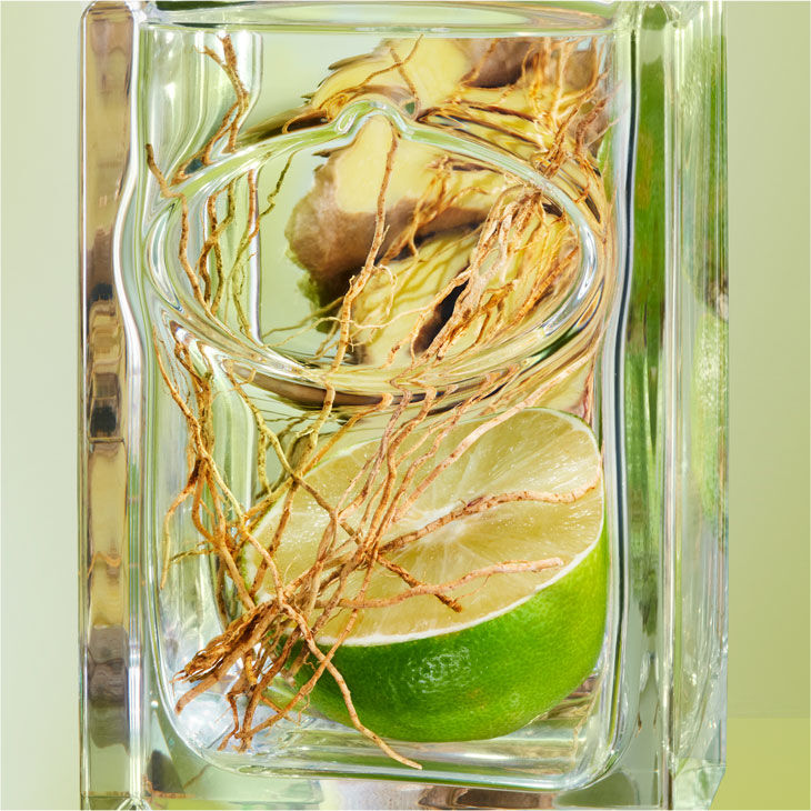 Prada infusion sales de vetiver