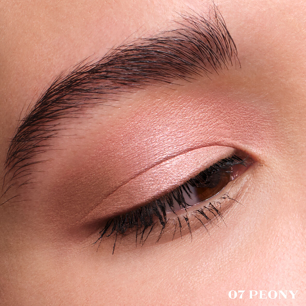 Prada Dimensions Holo Nude Eyeshadow