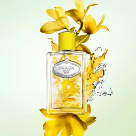 Les Infusions Discovery Set