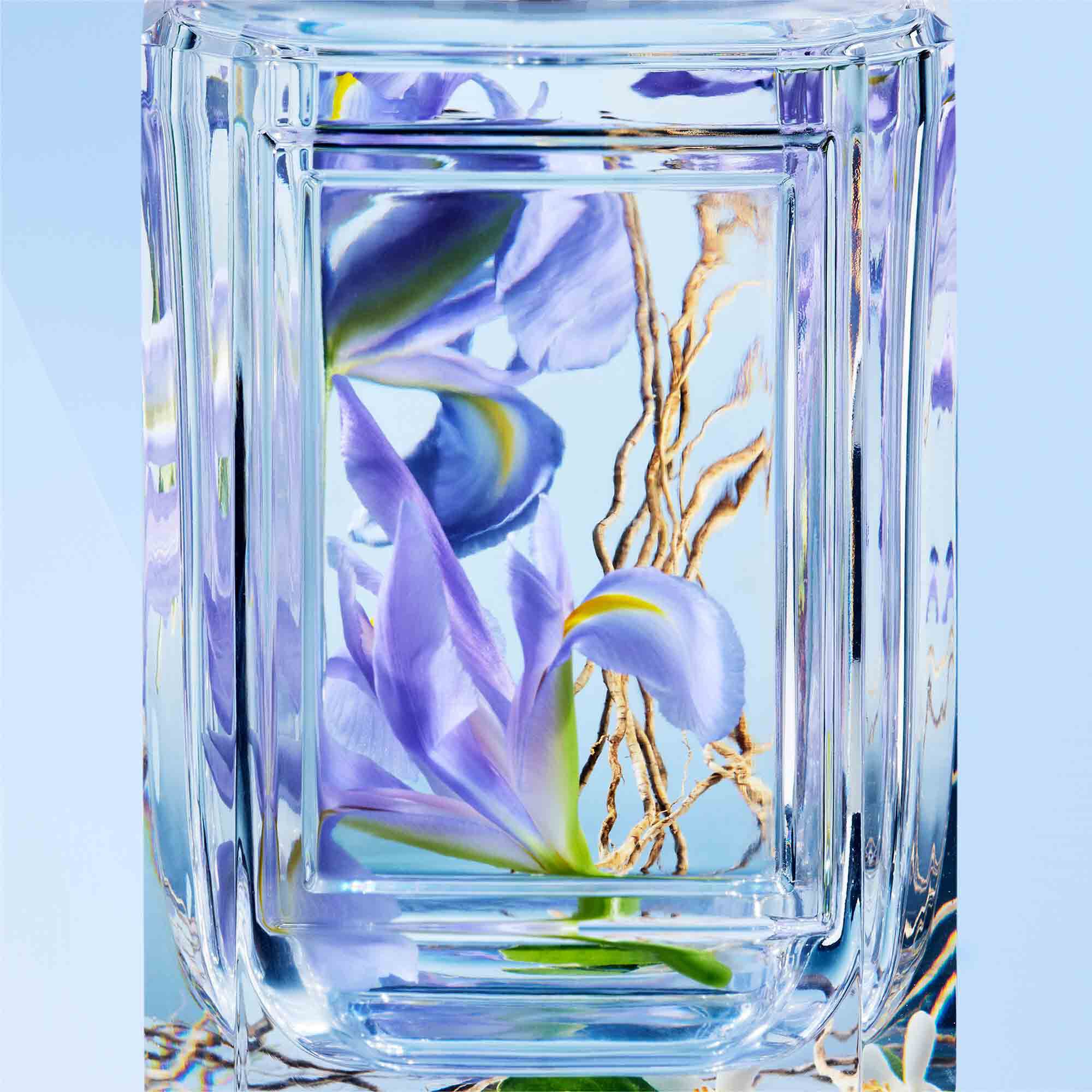 Purple Rain Eau de Parfum Prada Beauty Official Site