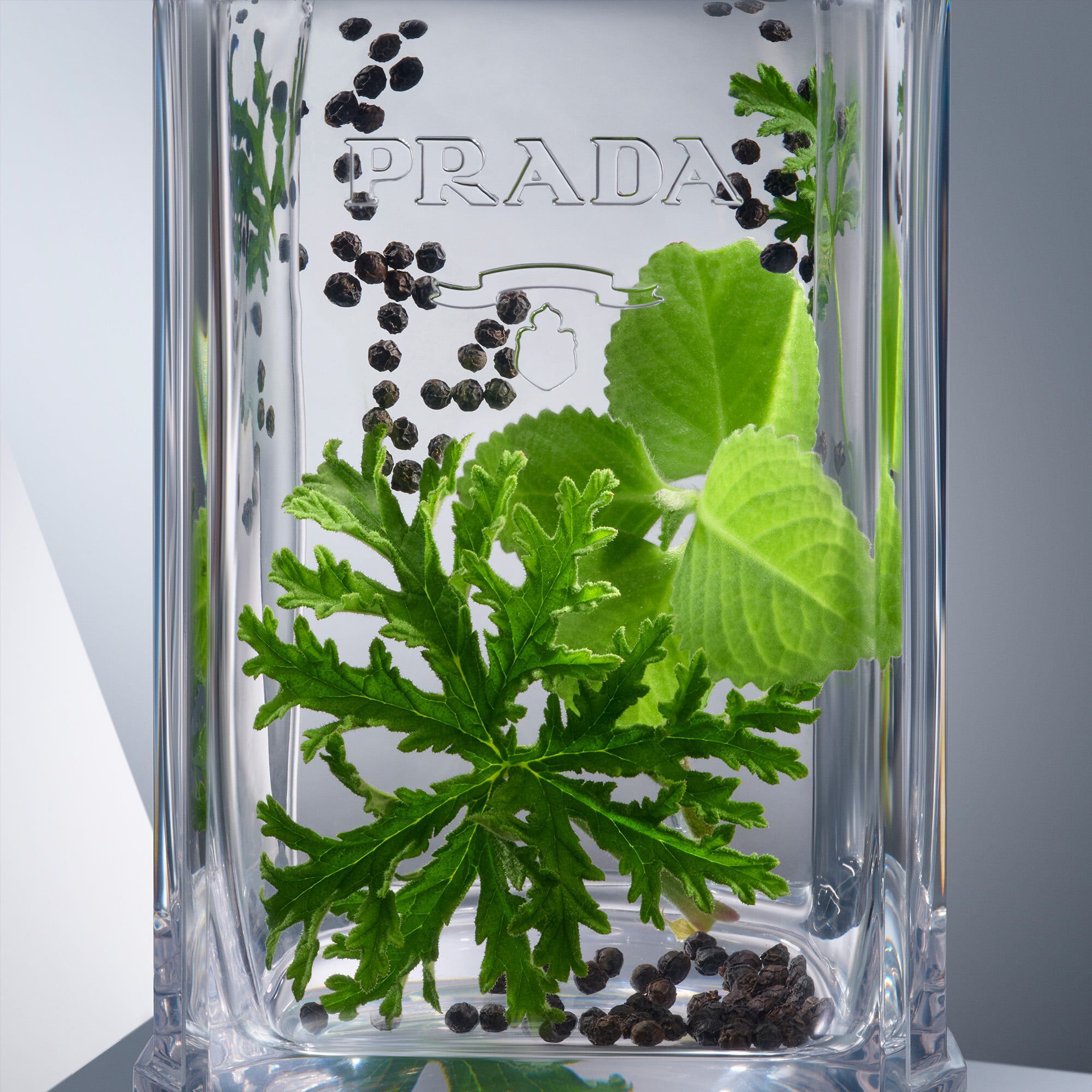 Prada homme eau top de parfum