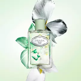 Les Infusions Discovery Set