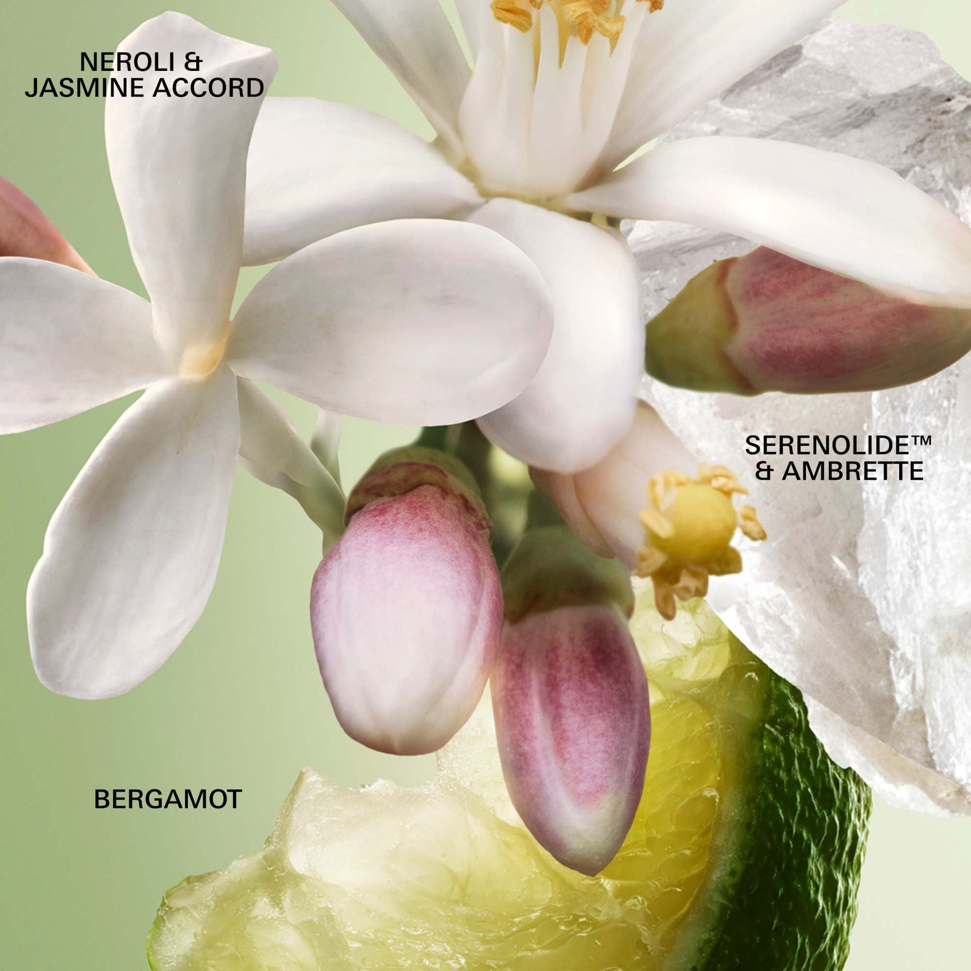 Paradoxe Virtual Flower Eau de Parfum