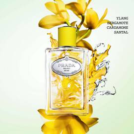 Infusion D'Ylang Eau De Parfum