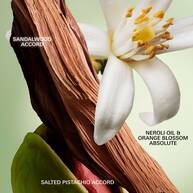 Paradoxe Radical Essence Parfum