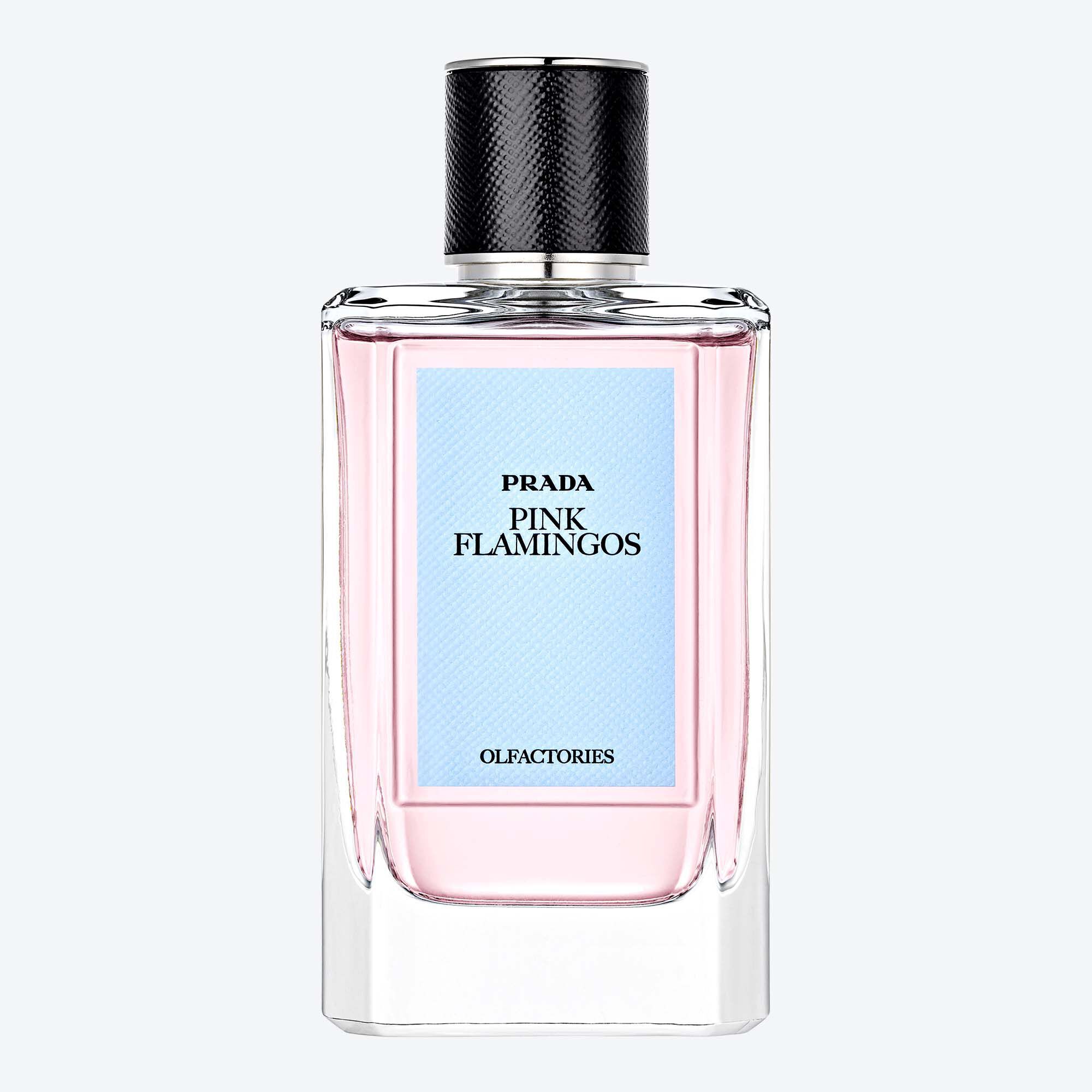 その他 PRADA INFUSION D'IRIS 30ml Eau de Parfum 61Tn6k4smhL._UF350,350_QL80_.jpg