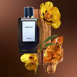 Babylon Eau de Parfum