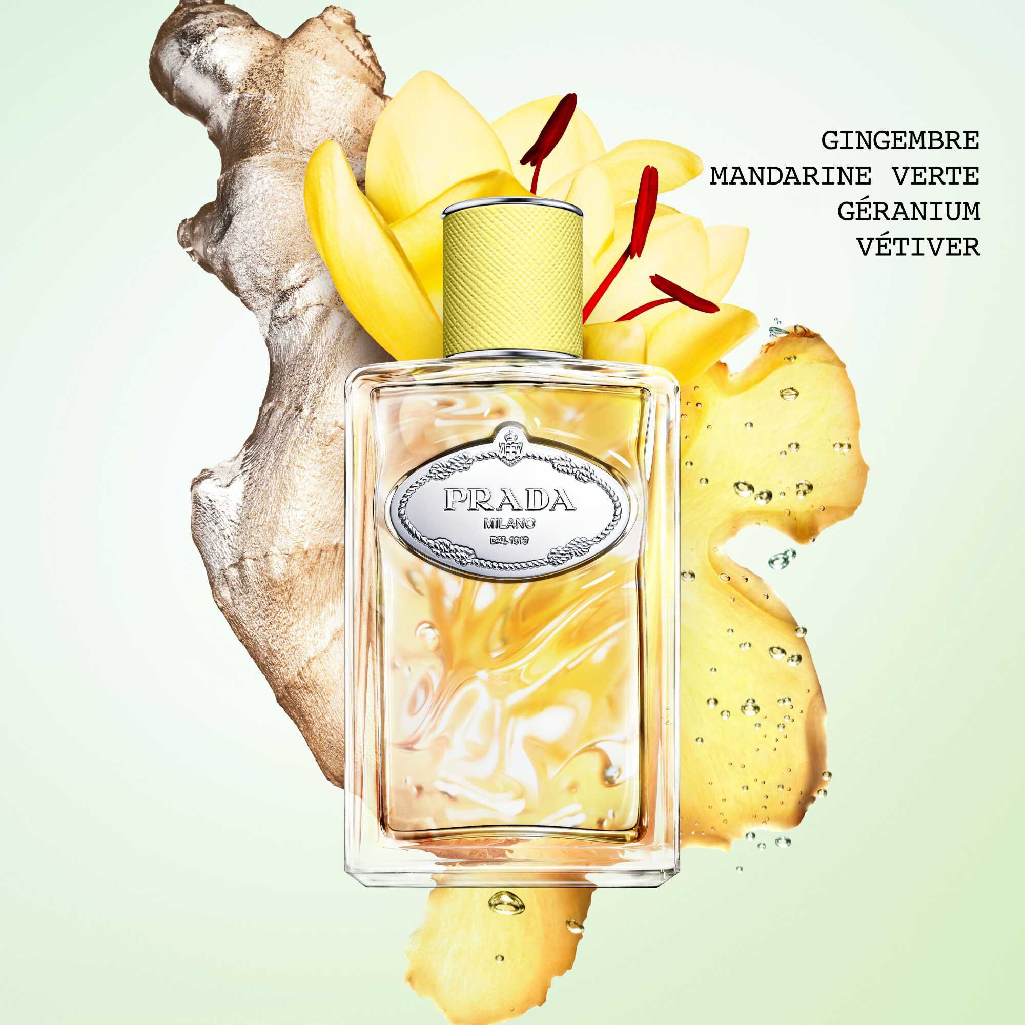 Infusion de Gingembre Eau de Parfum