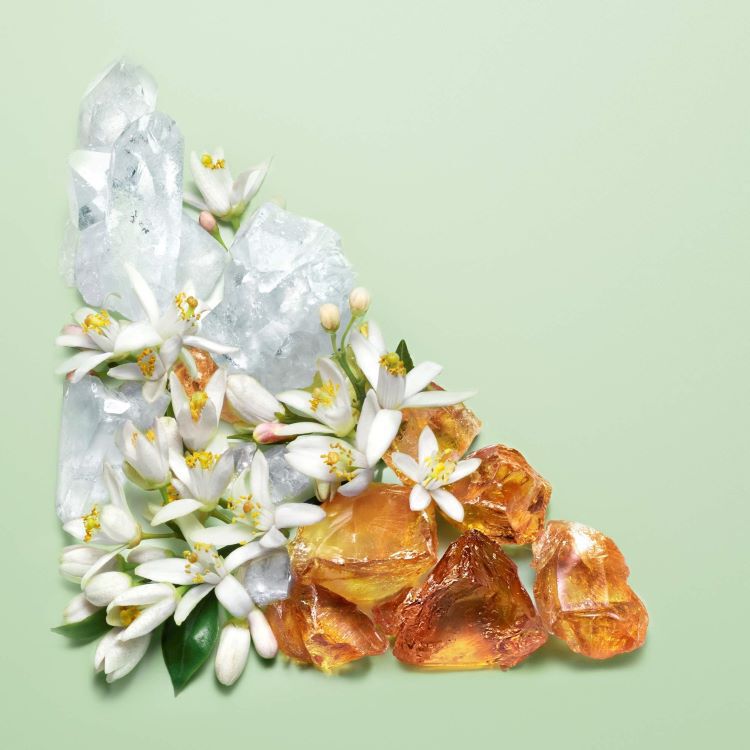 Paradoxe Virtual Flower Perfume For Women | Prada Beauty