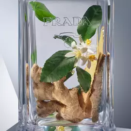 L'Homme Prada L'Eau Eau de Toilette