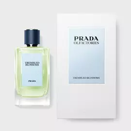 Prada Olfactories Trembled Blossoms Eau de Parfum Pack with outerbox on a neutral gray background 