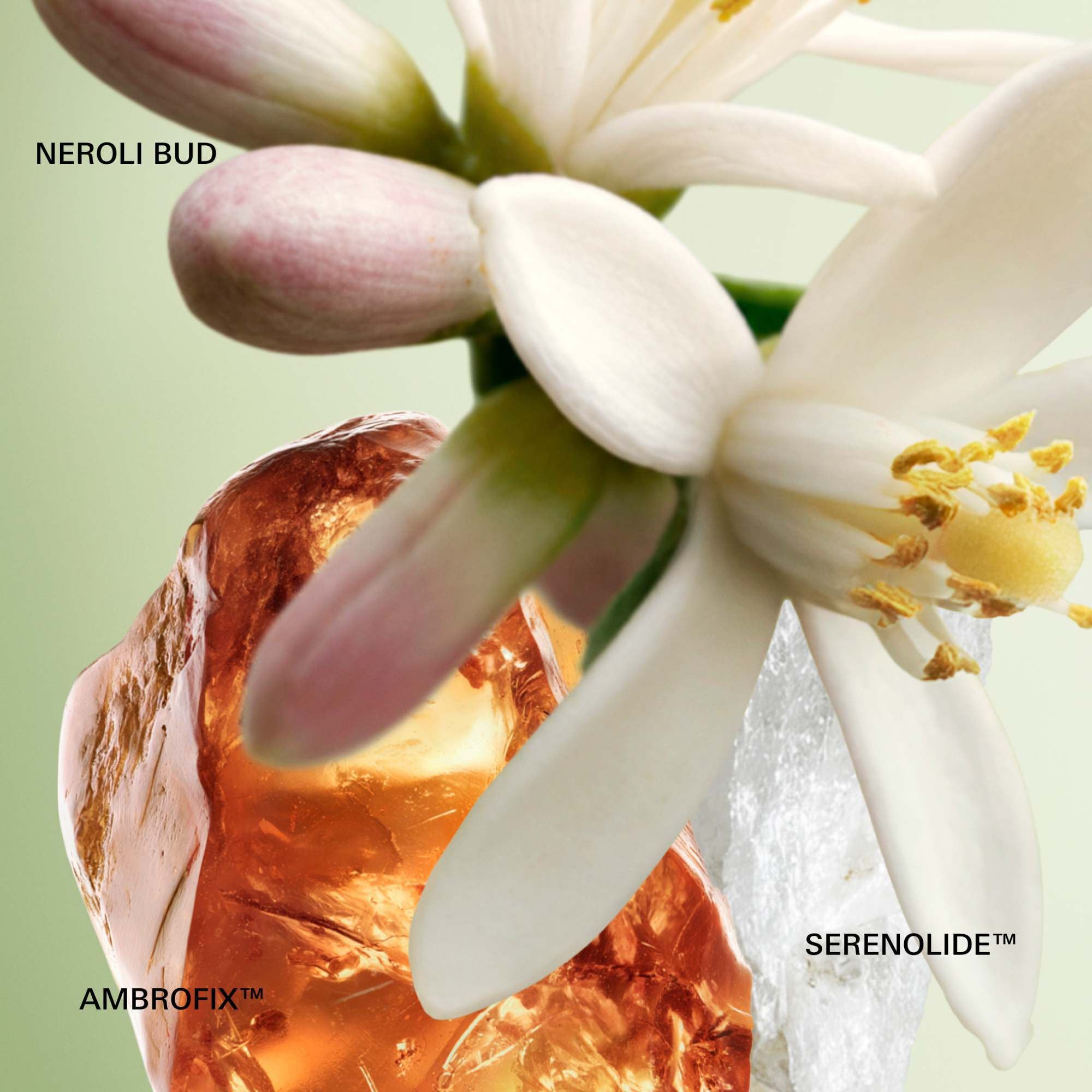 Paradoxe Eau de Parfum