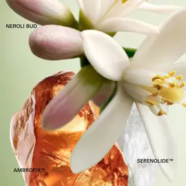 Paradoxe Eau de Parfum