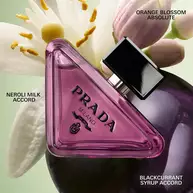 Prada Paradoxe Collection | Prada Beauty Official Site