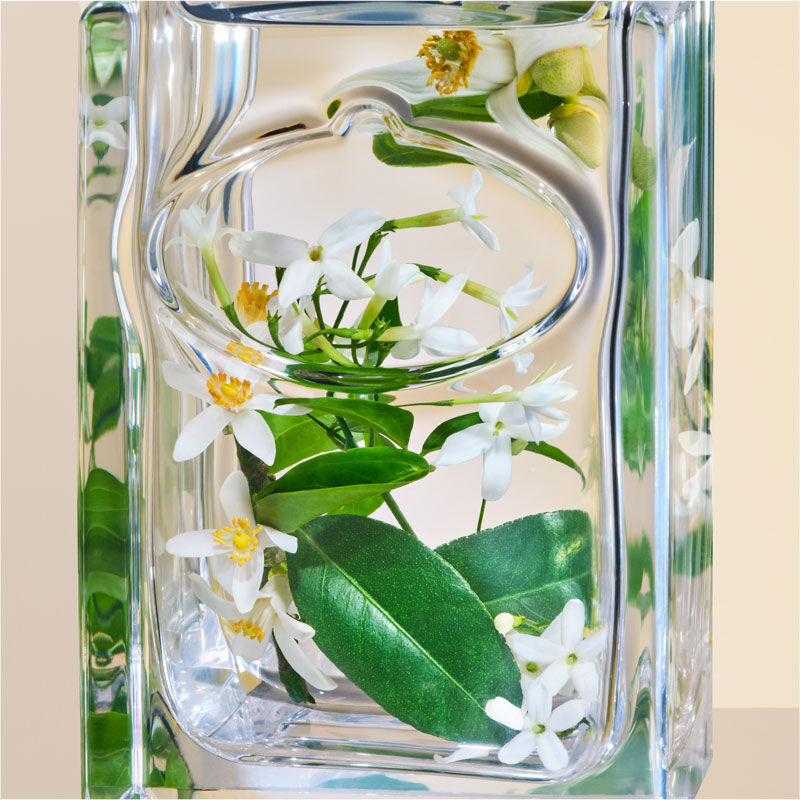 Infusion de Fleur D Oranger Prada Beauty Official Site