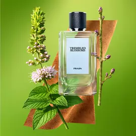Trembled Blossoms Eau de Parfum