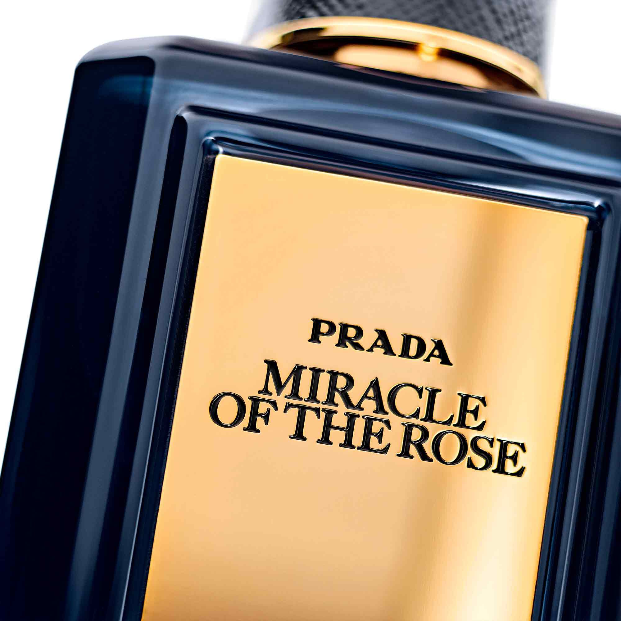Prada miracle of hot sale the rose price