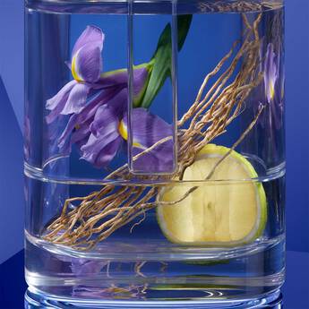 Perfume bottle containing flowers, vetiver, and bergamot