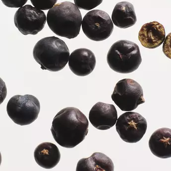SPICY BLACK PEPPER