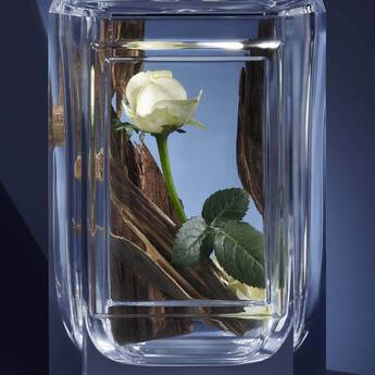 Miracle of rose prada Clearance