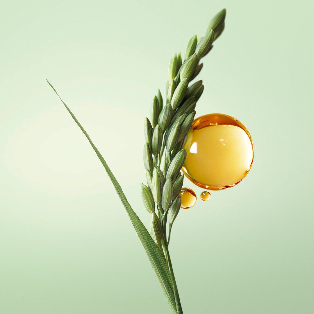 Paradoxe Hair Mist argan oil and rice vinegar ingredients.