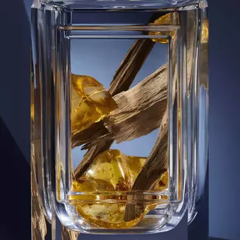 THE FRAGRANCE NOTES