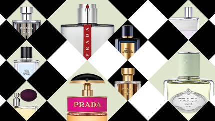 FRAGRANCE_FINDER_BEGIN_v2