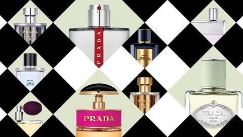 FRAGRANCE_FINDER_BEGIN_v2