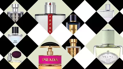 FRAGRANCE_FINDER_BEGIN_v2