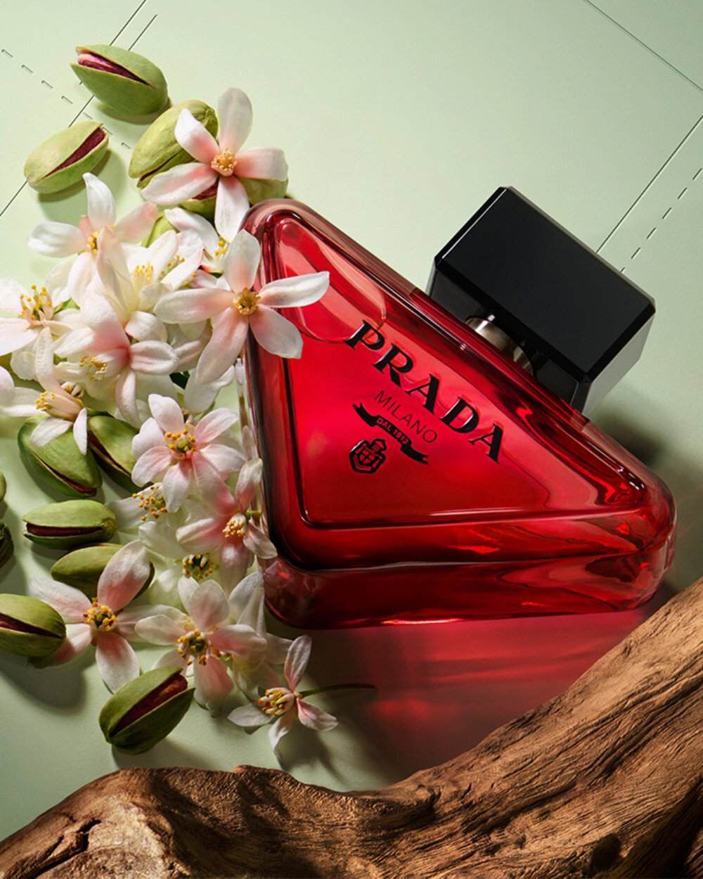 プラダ ビューティ オリジナル ミラー　PRADA BEAUTY プラダ ビューティ オリジナル ミラー PRADA beauty - メルカリ