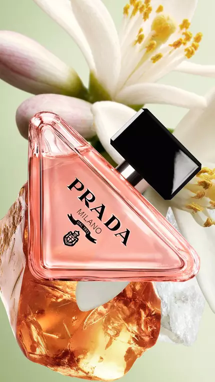 Prada Paradoxe EDP Pack with ingredients on a green background