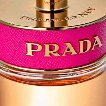 THE FRAGRANCE NOTES
