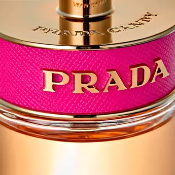 THE FRAGRANCE NOTES