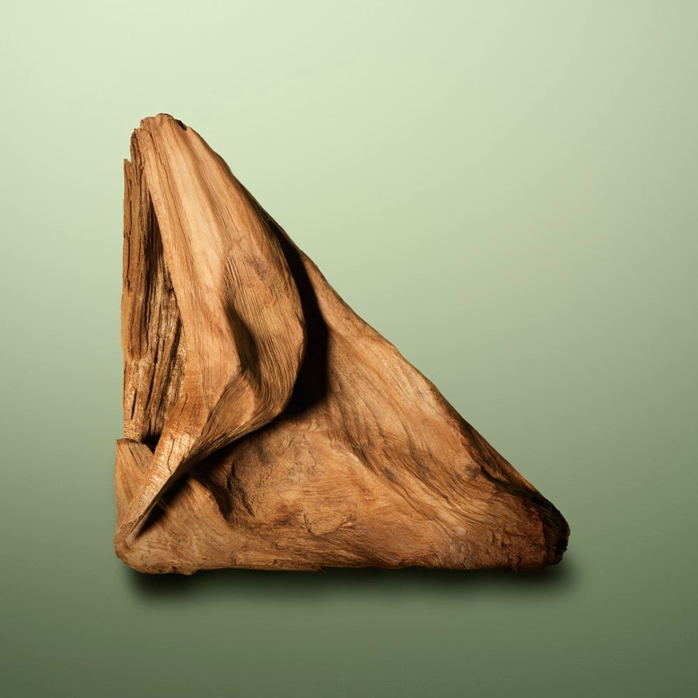 Sandalwood Accord