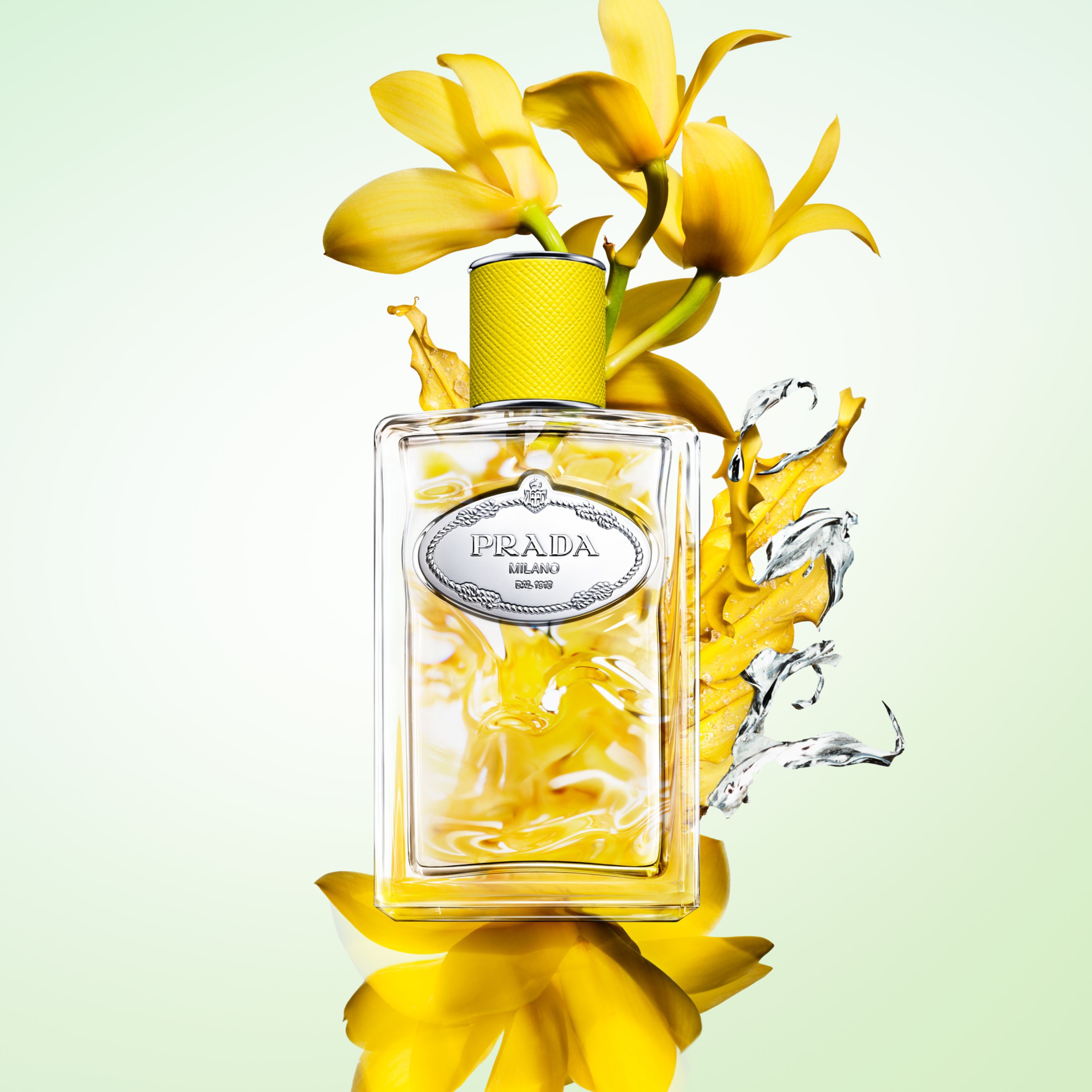 Infusion D Ylang Eau de Parfum Prada Beauty Official Site