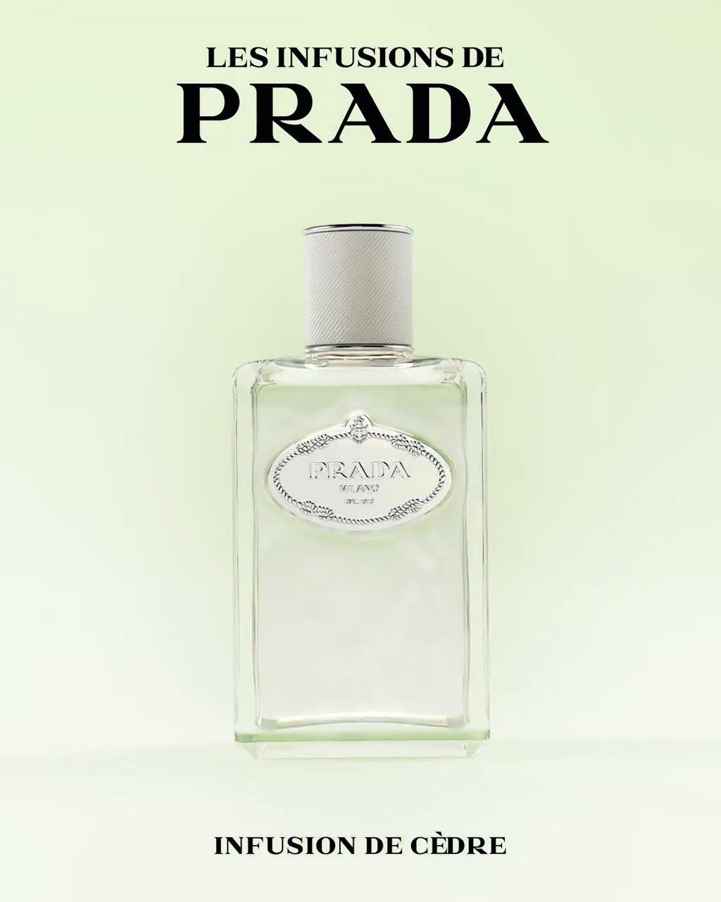 Infusion Cedre, Eau de Parfum | Prada Beauty Official Site