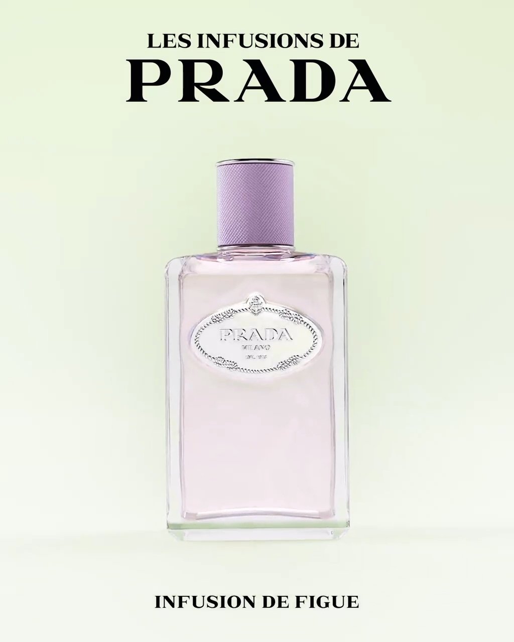 プラダ　フレグランス　PRADA INFUSION DE FIGUE 100ml Infusion de Figue EDP Perfume for Him and Her| Prada Beauty